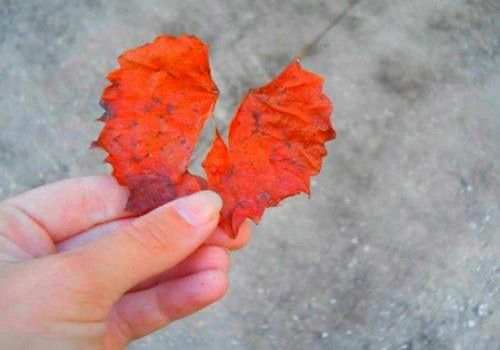 绍兴侦探公司：婚前协议的效力如何_1